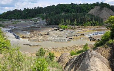 Castorii, țapi ispășitori la Salina Praid. Scandal în Comisia de Mediu