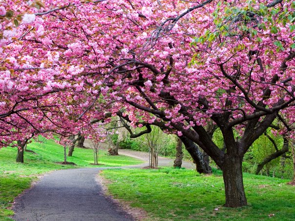 Vremea se schimbă: Temperaturi mai ridicate și ploi slabe în România