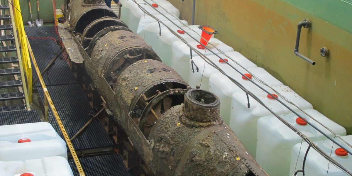 profimedia-0587668684.jpg - NewsFactor