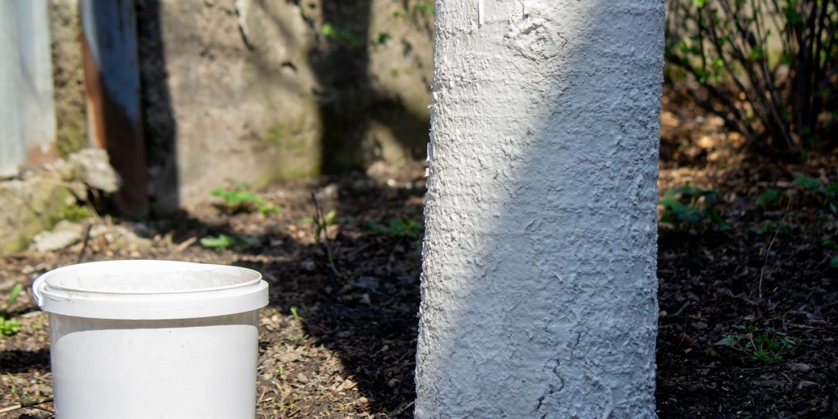 profimedia-0986524313.jpg - NewsFactor