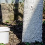 profimedia-0986524313.jpg - NewsFactor