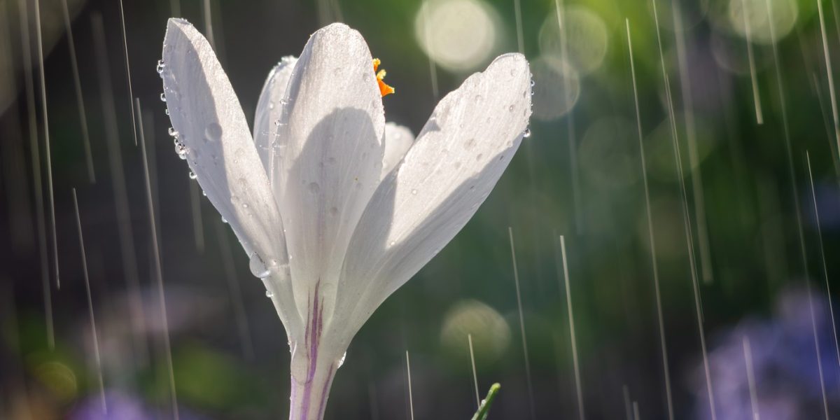 profimedia-0986755680.jpg - NewsFactor