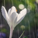 profimedia-0986755680.jpg - NewsFactor