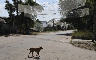 Ucrainenii, speriați de noi atacuri după armistițiu: Vor pace, nu pauze!