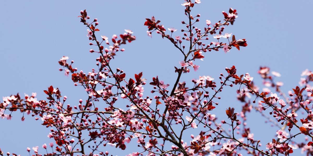 profimedia-1081352635.jpg - NewsFactor