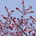 profimedia-1081352635.jpg - NewsFactor