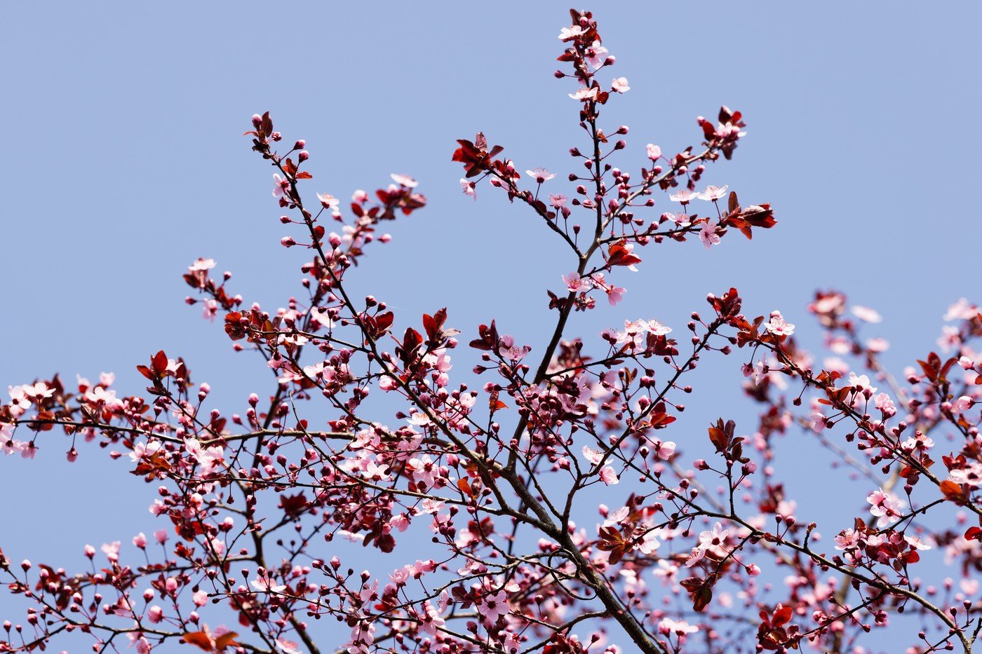 Vremea, cu surprize până în mai: Ce aduce prognoza meteo