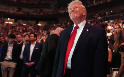 Câștiguri fabuloase: Cum au pariat pe Trump, cu minute înainte de anunțuri