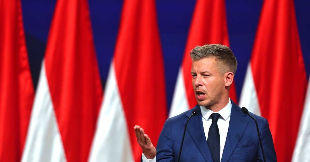 Zebre în curtea lui Donald Trump: Imaginile care au uimit România