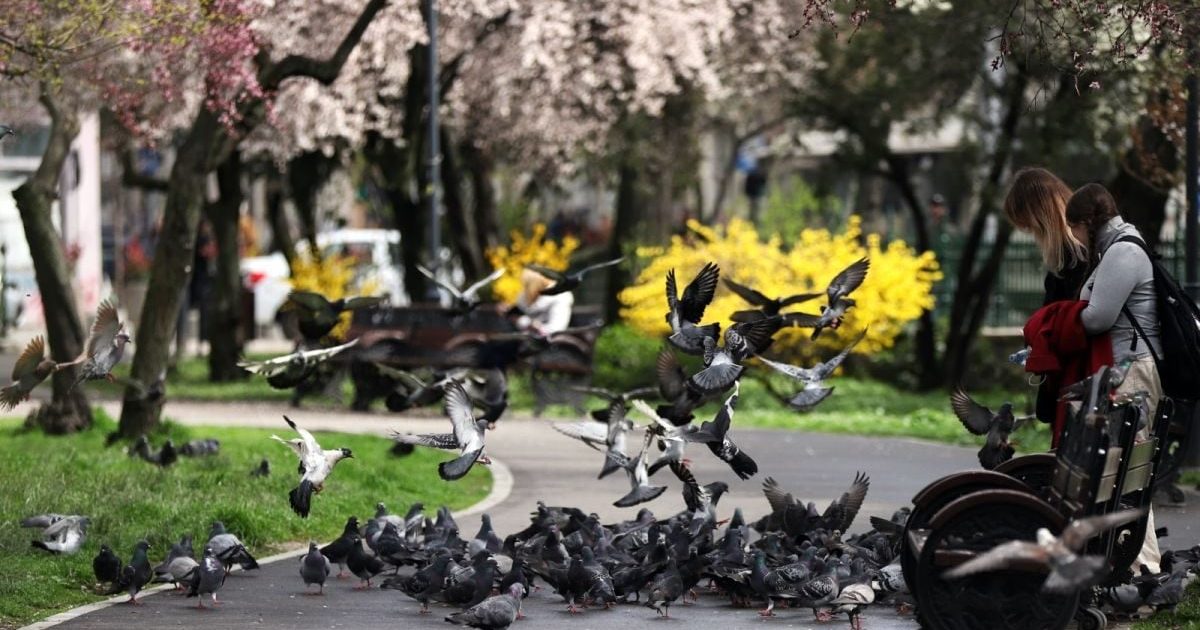 Vremea de duminică: Prognoza meteo pentru 19 aprilie 2026 în România