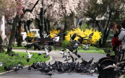 Vremea de duminică: Prognoza meteo pentru 19 aprilie 2026 în România