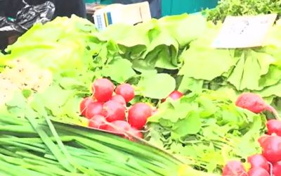 Observator, apel pentru lege: Alimente toxice, eliminate din piețe, ca-n Danemarca