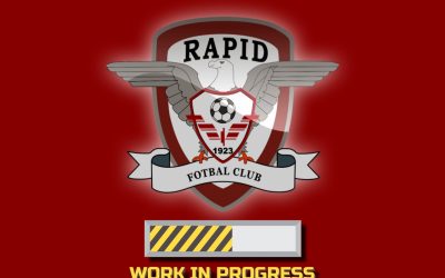 Șucu bagă 6 milioane de euro la Rapid: Lucrările au început!