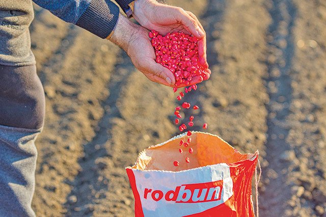 Familiile din Spatele RodBun Investesc Masiv în Silvicultură Grupul RodBun, cunoscut pentru activitățile sale în domeniul agriculturii, face un pas important către silvicultură