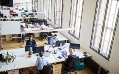 România: Liberalii propun o nouă zi liberă legală pentru români