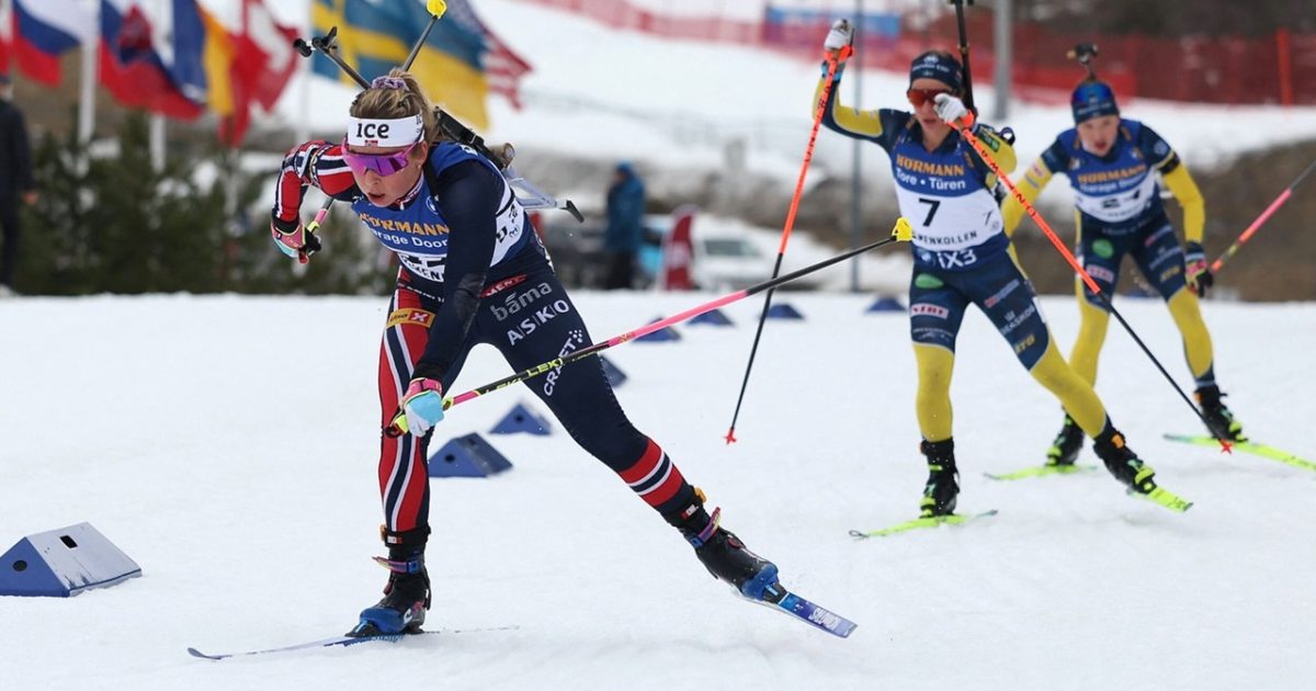 Americanii, Norvegienii și Suedezii resping: „E plin de rusofobi!”