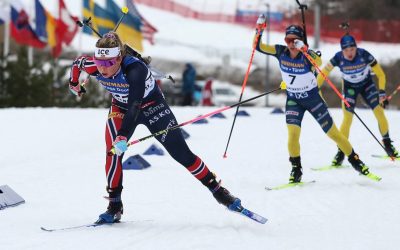 Americanii, Norvegienii și Suedezii resping: „E plin de rusofobi!”