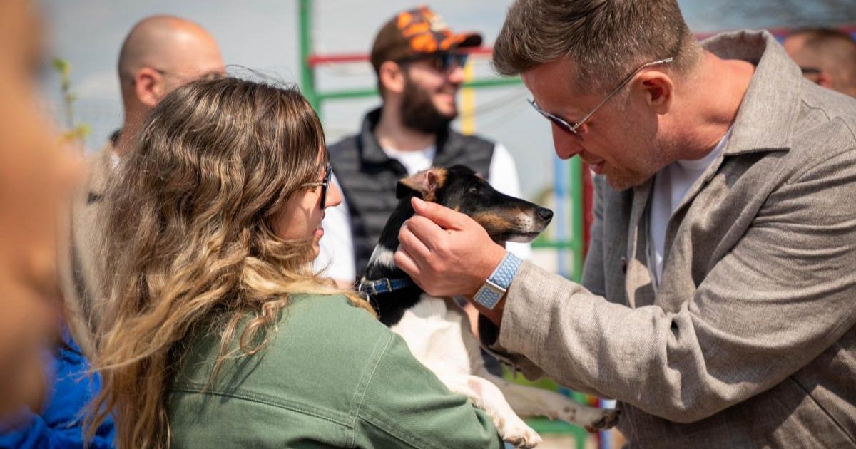 Primul centru județean de adopții canine, deschis în Ilfov: „În familie”