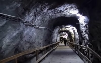 Castorii, țapi ispășitori la Praid: SALROM dă vina pe rozătoare