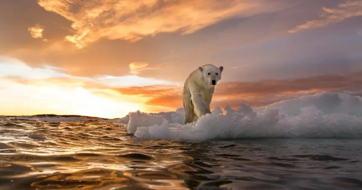 Clima: EȘEC global? Curenții oceanici se prăbușesc, vremea extremă scapă de sub control