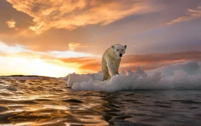 Clima: EȘEC global? Curenții oceanici se prăbușesc, vremea extremă scapă de sub control