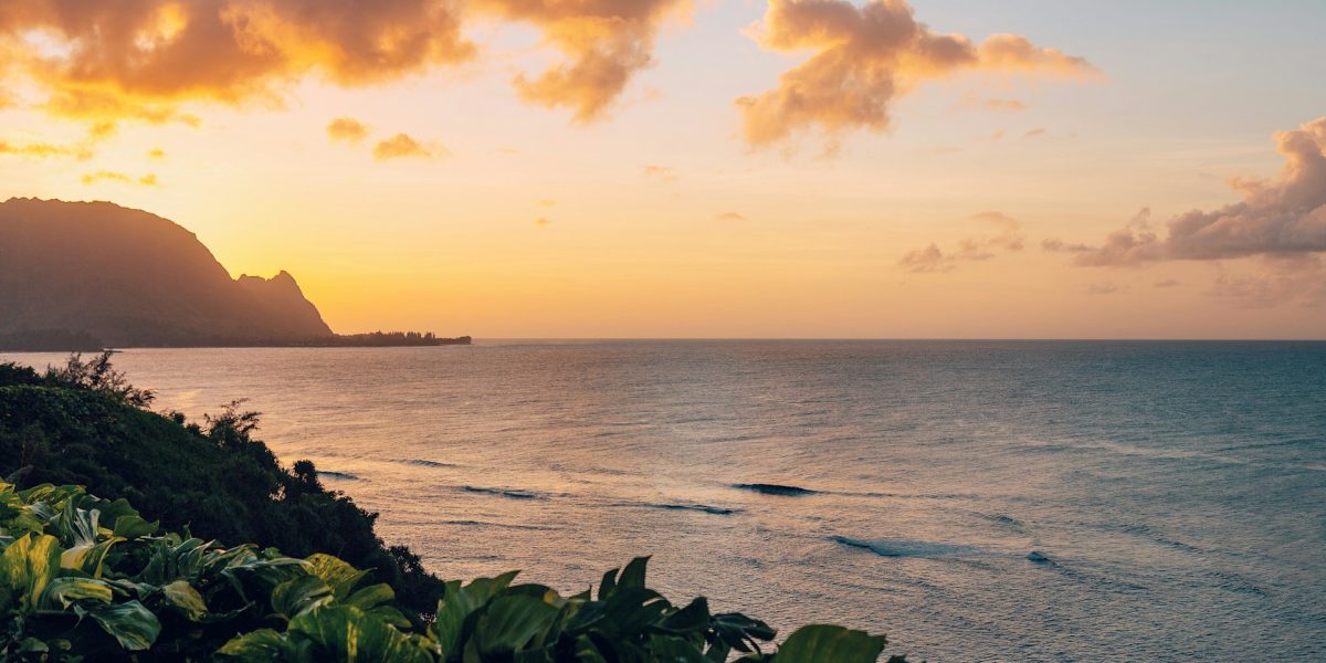 sebastien-gabriel-UWk88uBT7UQ-unsplash.jpg - NewsFactor