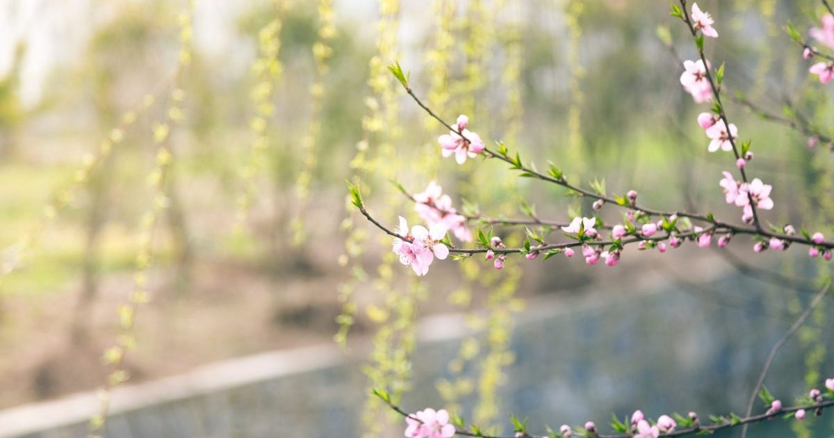 Maxime de 17 grade și nori: Vremea ne joacă feste în România