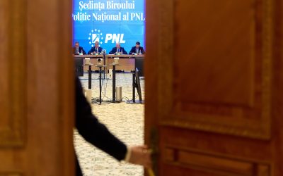PNL, manevre după PSD: Ce decizie a luat, cu ochii pe votul de luni