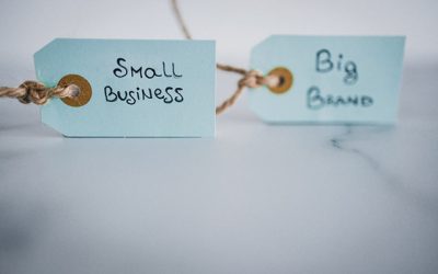 Strategia „David vs. Goliat”: Brandurile românești sfidează giganții