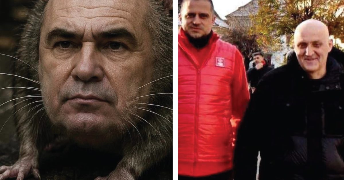 Disonanța cognitivă: Un fenomen la care suntem cu toții expuși