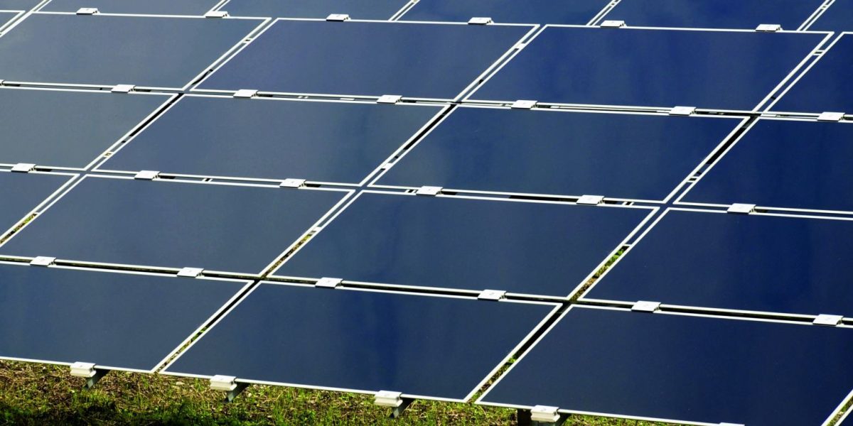 Șase bărbați din Buzău și Vrancea, arestați pentru furt dintr-un parc fotovoltaic