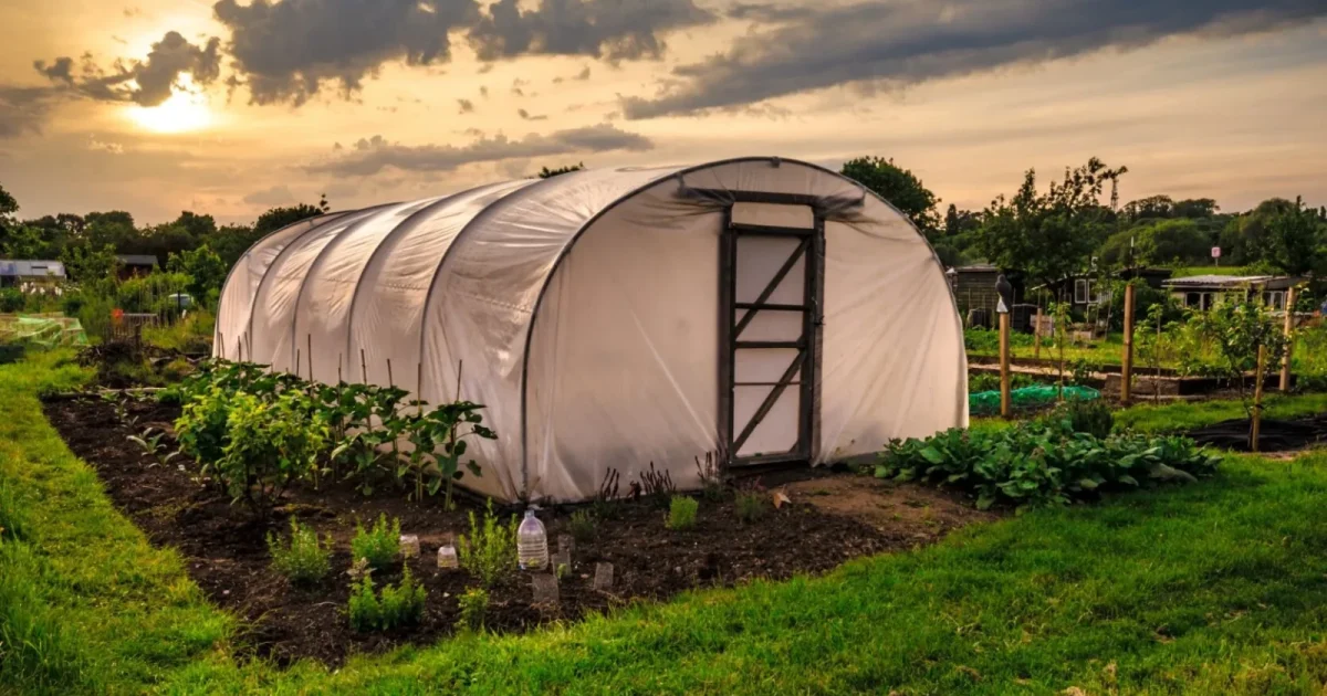 Bani pentru sere și solarii: Guvernul alocă 275 de milioane de lei în 2026