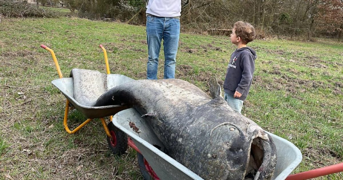 Somnul GIGANTIC din Germania: Vechea legendă, confirmată!