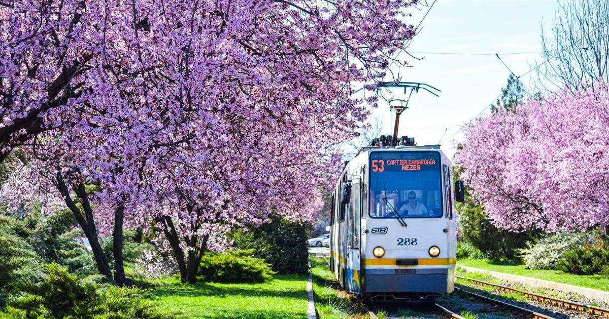 Când circulă TRAMVAIUL 41 și liniile de noapte în București