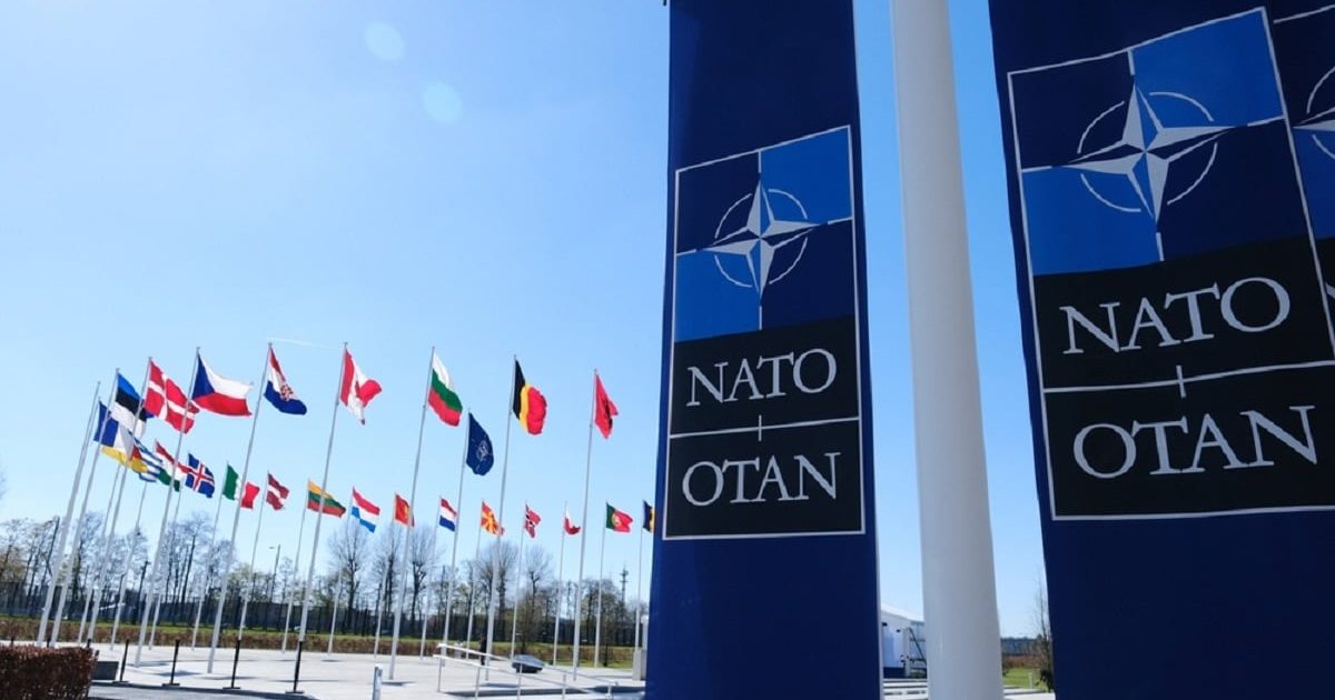 NATO: De la Alfa la Zulu, ghid complet pentru alfabetul fonetic esențial