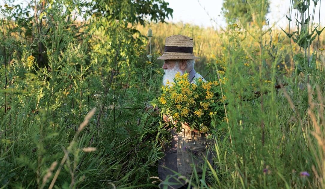Ștefan Câlția expune la Sibiu: Pictorul revine la temele dragi