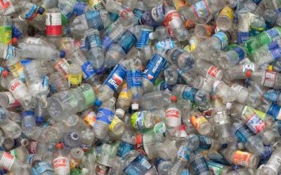 RetuRo, la pas cu lactatele: Ce planuri are șeful pentru ambalaje