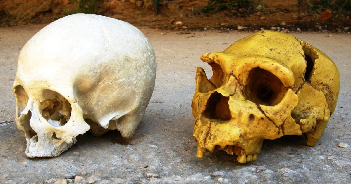 Cum ne influențează NEANDERTHALIENII azi: ADN-ul vechi, efecte noi