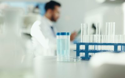 Beneficii vs. Riscuri: Ghid esențial pentru a lua decizia corectă