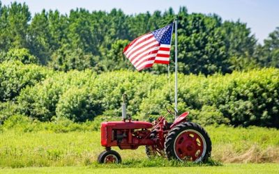 Americanii exportă îngrășăminte, loviți de scumpiri: Războiul din Iran face ravagii