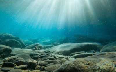 Oceanele fierb: Temperaturi aproape record în martie 2026, avertizează experții