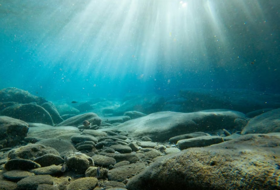 Oceanele fierb: Temperaturi aproape record în martie 2026, avertizează experții