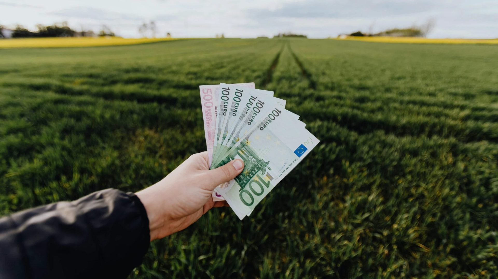Ministrul agriculturii schimbă regulile subvențiilor: Ce trebuie să facă fermierii din 2028