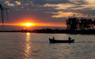 Un studio plutitor atrage tinerii britanici pasionați de artă