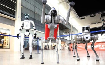 Destiny, robotul care nu vrea să-ți ia locul, dar schimbă joburile