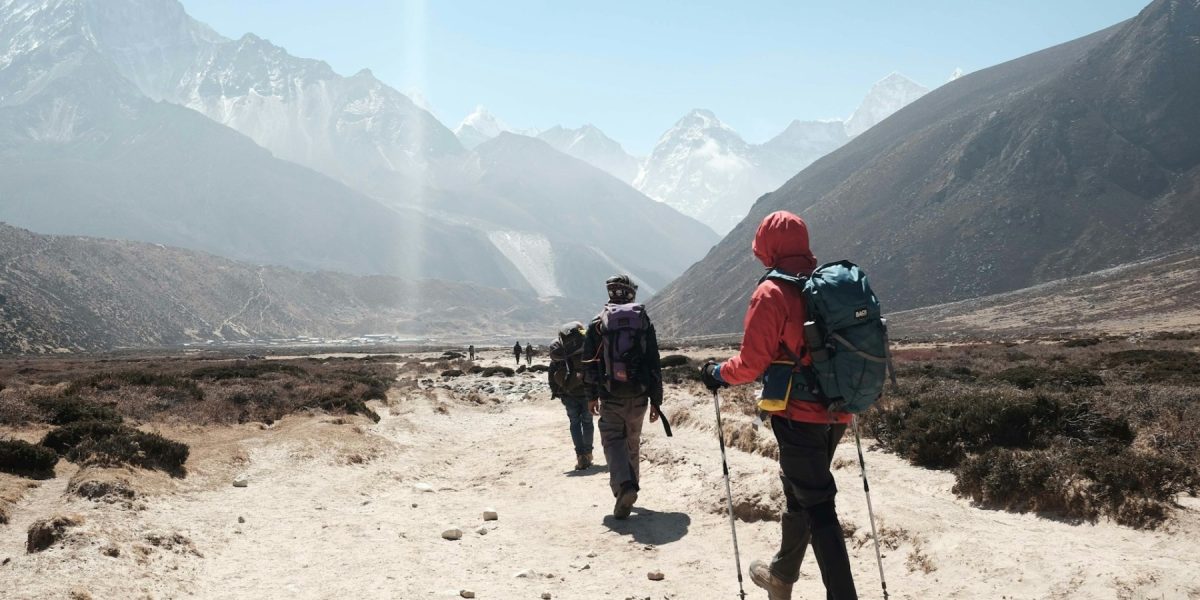 ted-bryan-yu-5mezpWin6T8-unsplash.jpg - NewsFactor