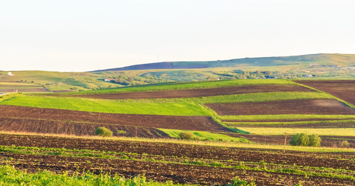 Arendă 2026: Arendatori vs. Arendași, drepturi și obligații în România