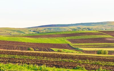 Arendă 2026: Arendatori vs. Arendași, drepturi și obligații în România