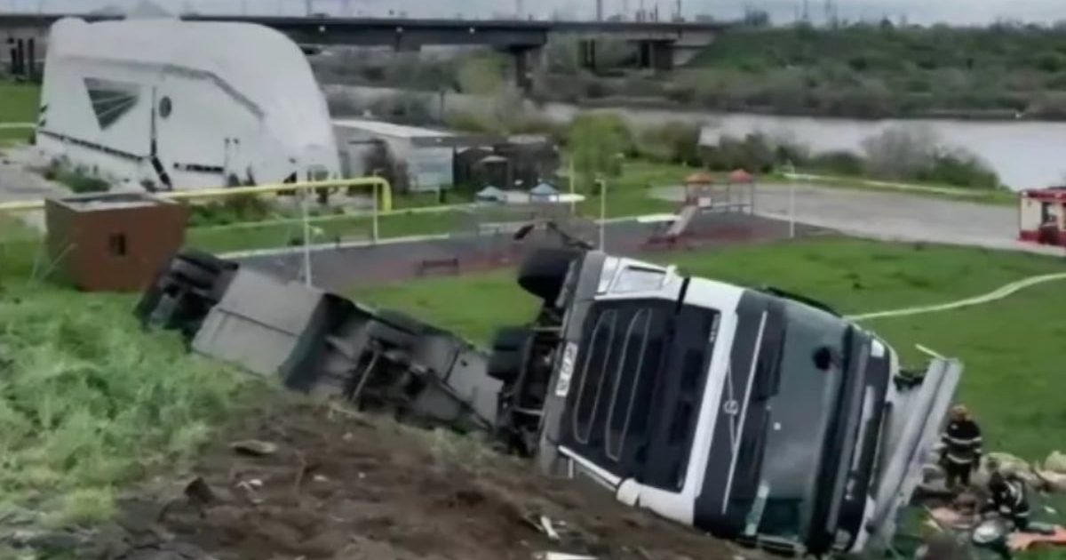 Ce s-a întâmplat cu cele 160 de animale? O tragedie ascunsă