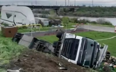 Ce s-a întâmplat cu cele 160 de animale? O tragedie ascunsă